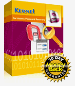 Kernel for Access password