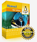 Kernel for Linux