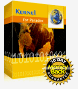 Kernel for Paradox