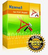Kernel for PDF Repair
