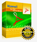 Kernel for PDF Split