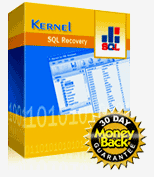 Kernel for SQL Database